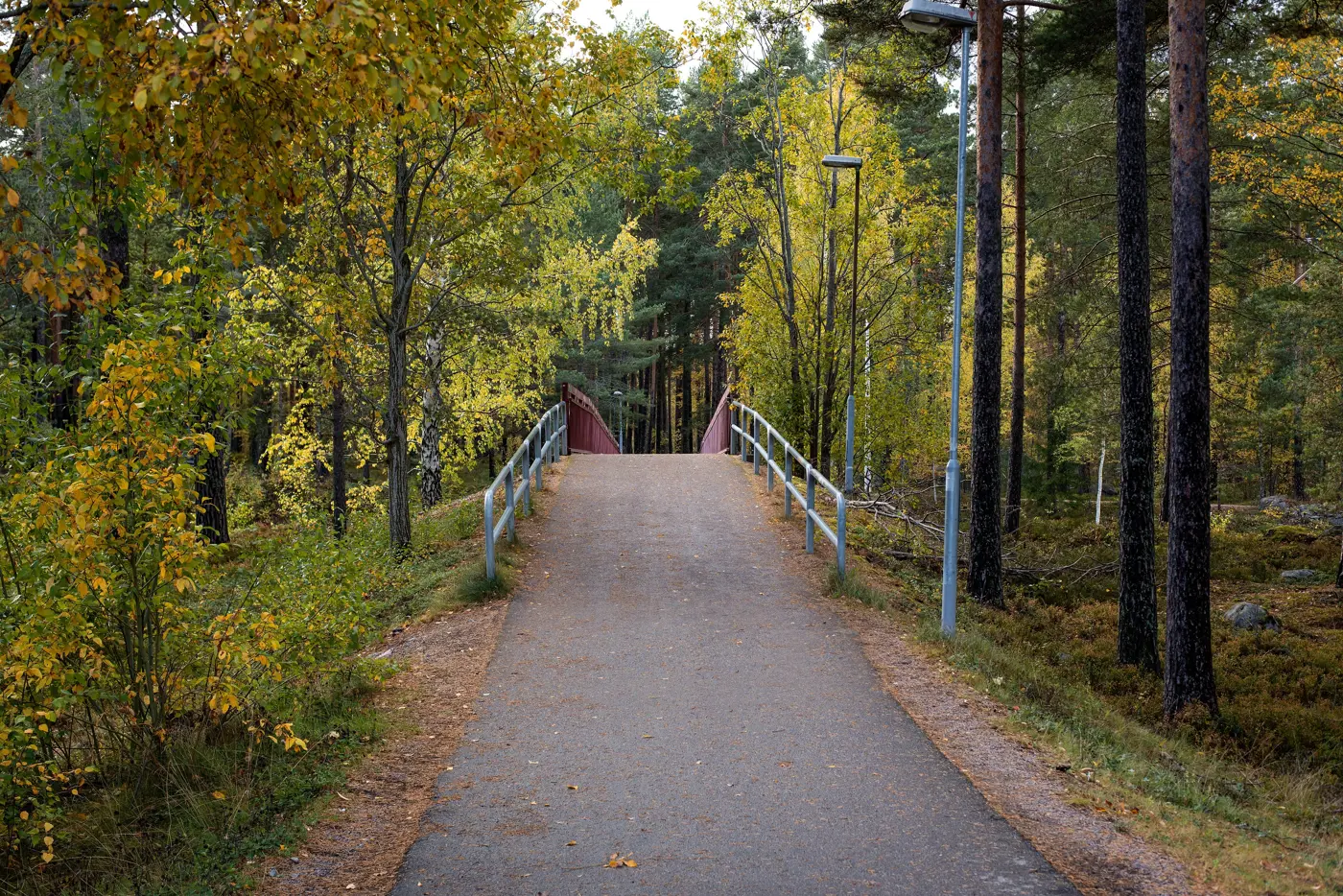 En asfalterad gångbro omgivet av träd med gröna löv.