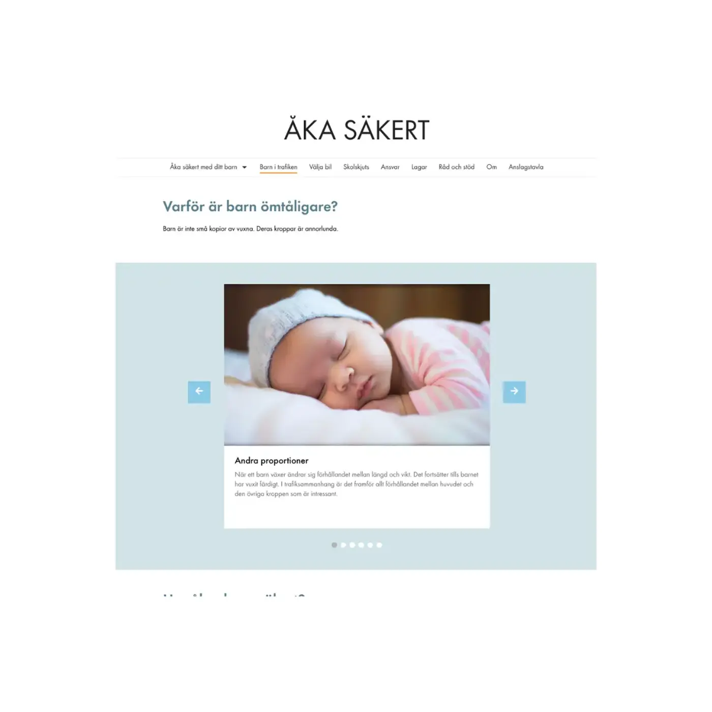 Bild på hemsidan Åka Säkert.