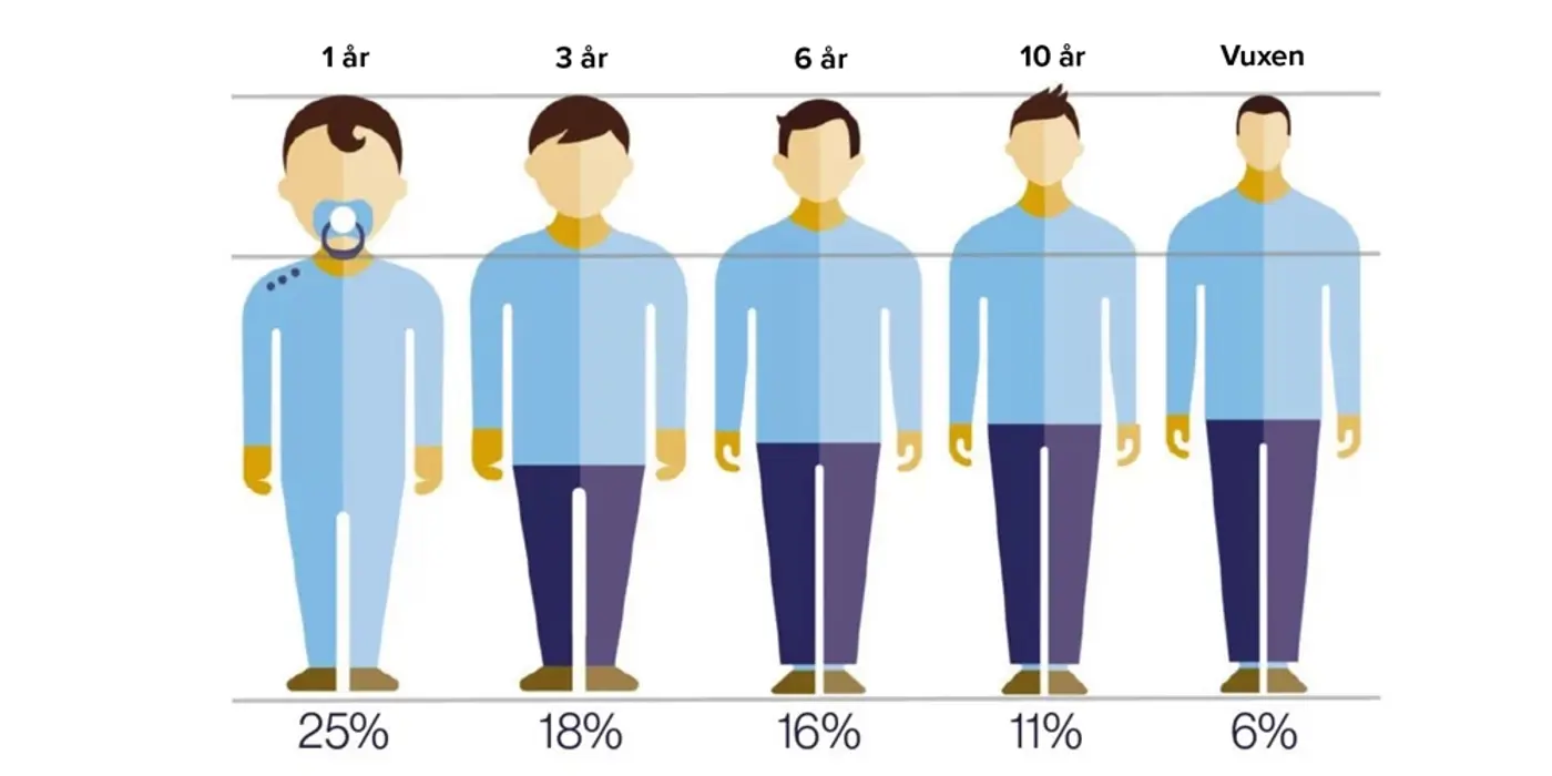 En illustration av personer i olika åldrar, från 1 år till vuxen, och huvudets tyngd i procent i relation till den totala kroppsvikten.