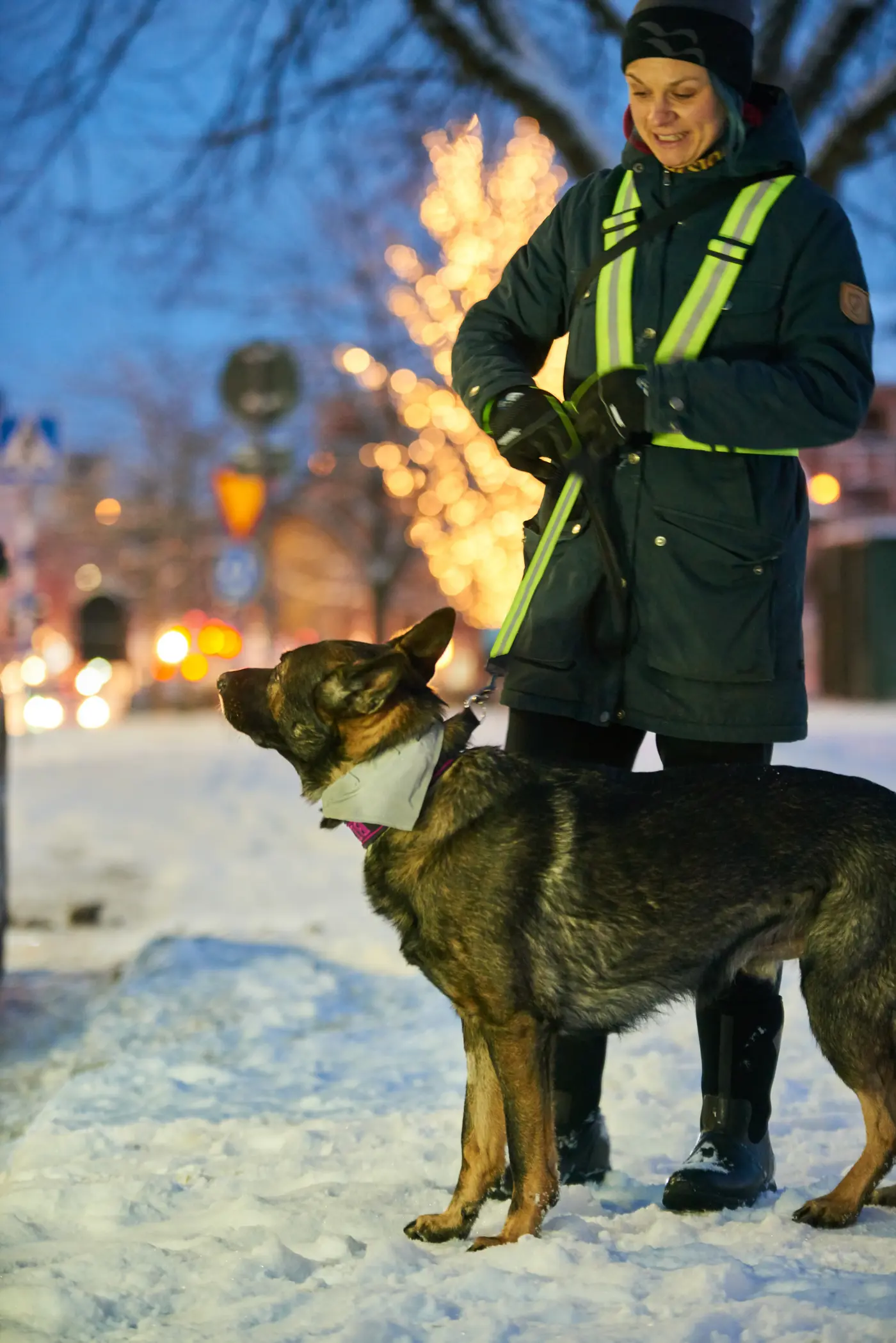 En ägare med sin hund en mörk vinterkväll. Rgaren har reflexsele och hunden har reflexhalsband och reflexkoppel.