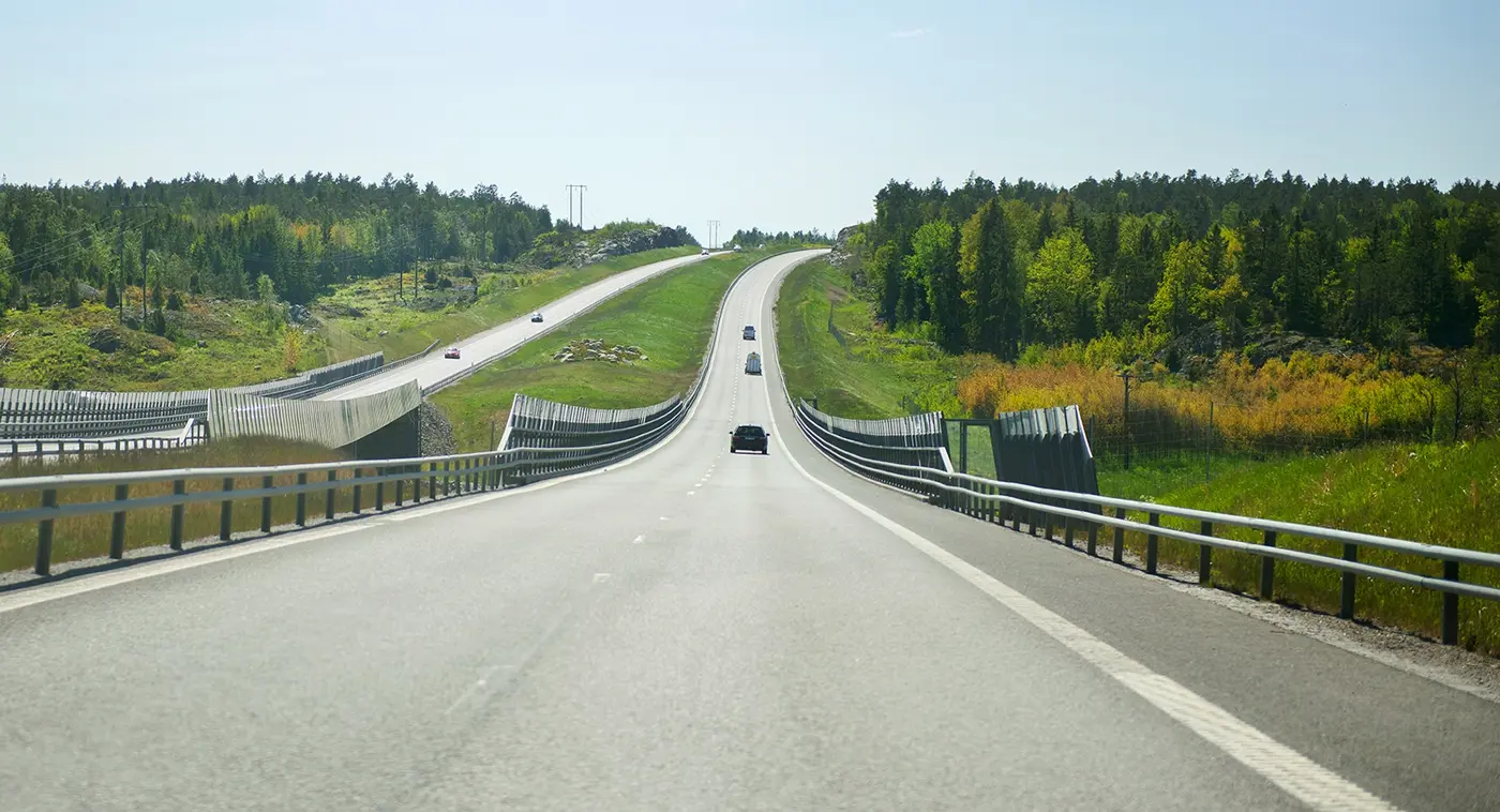 En motorväg på sommaren.